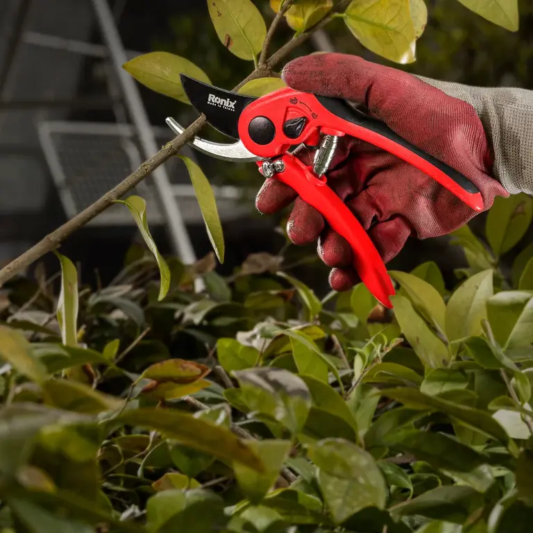 modeling-638414317026484335 قيچي باغ رونيكس ويرگو RH-3106 - تصویر 1