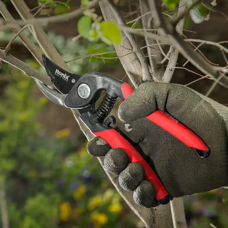 modeling-638414334533149269 قيچي باغ فلورا RH-3105 رونيكس - تصویر 1