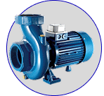 استخر، سونا و جکوزی